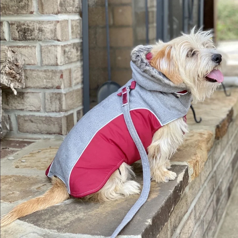 CLOAK & DAWGGIE 3M SCOTCHLITE REFLECTIVE MATERIAL WINTER JACKET
